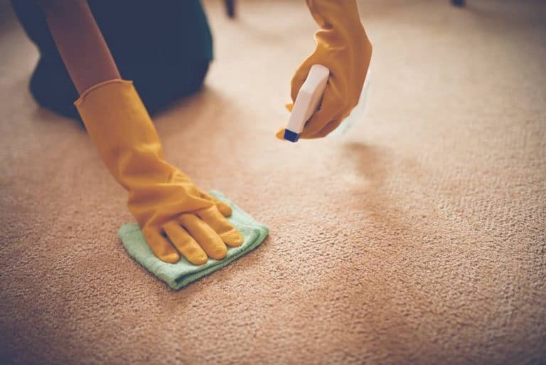 The Best Ways to Get Stains Out of Carpet