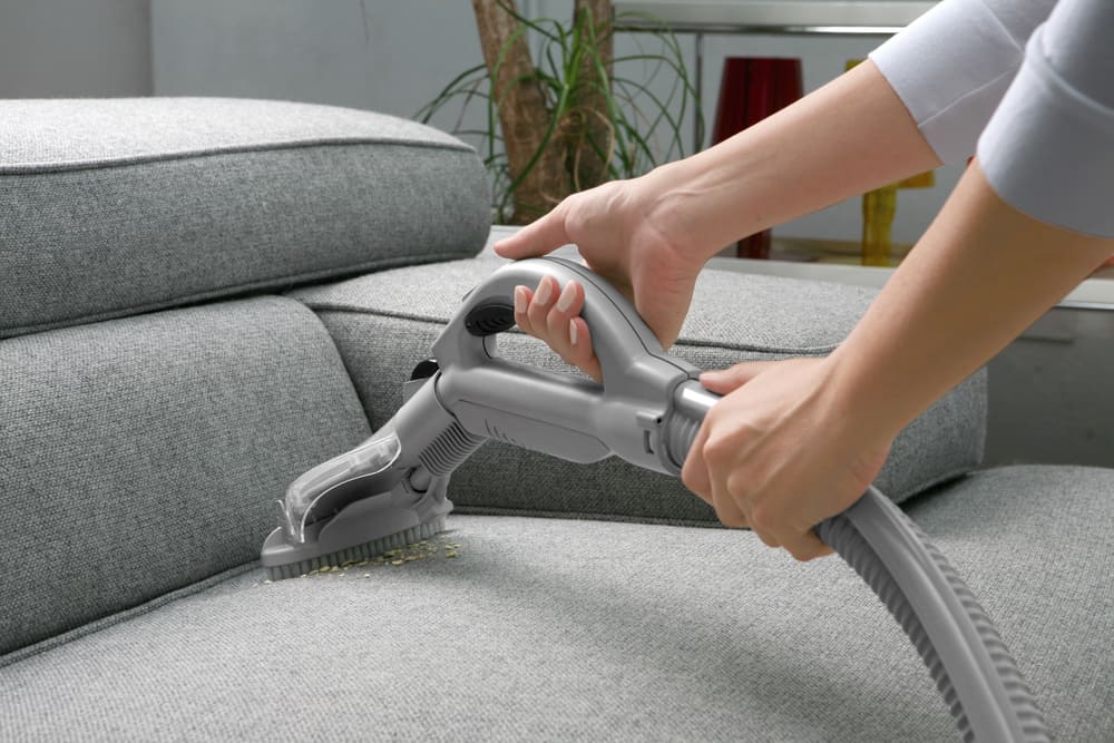 sofa, clear, hands, vacuum, cleanup, cleaner, cleaning, clean room, vacuum pump, hand holding, cleaner woman, cleaning sofa, sofa top view, vacuum cleaner, house cleaning, cleaning house, vacuum cleaners, cleaning service, house cleaning service, vacuum cleaner isolated,